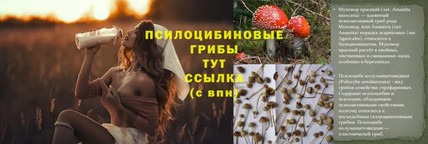 PSILOCYBIN Армянск