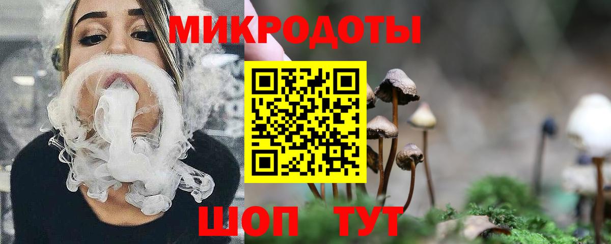 Псилоцибиновые грибы Psilocybine cubensis Кимры