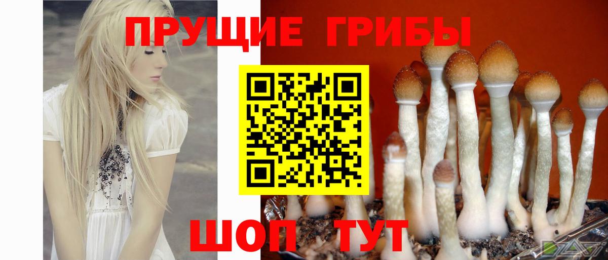 Галлюциногенные грибы MAGIC MUSHROOMS  Вход с VPN  Кимры  Псилоцибиновые грибы ЛСД 